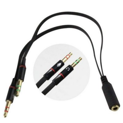 CaboP3 Femea X P2 Macho 